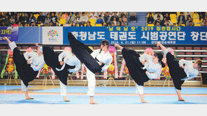 3·1운동 정신 펼칠 ‘충남도 태권도 시범단’ 창단