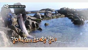 울진 해역 규모 3.8 지진에 가슴 또 ‘철렁’…동해 심해어, 큰 지진 전조?