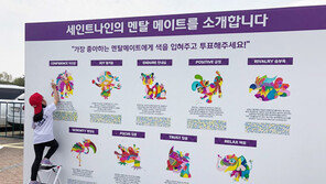 대회 특성을 살린 마케팅으로 차별화에 성공한 ‘넥센-세인트나인마스터즈’