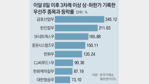 상한가 세번후 바로 하한가… 우선주 투자 멀미나겠네
