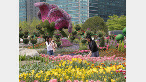 26일부터 일산 호수공원 1억 송이 꽃잔치