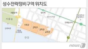 성수동 한강변 50층 아파트 ‘물거품’ 되나