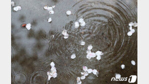 [날씨]24일 전국 오전까지 비…초여름 더위에도 대기는 청정