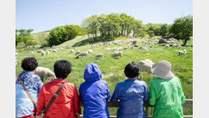 “첫 해외여행에 행복한 추억”…서울시, 관광취약계층에 특별한 여행 선물