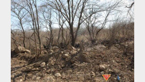 철원 DMZ 역곡천 건너편서 궁예 태봉국 당시 축조 중어성 추정 축석 발견