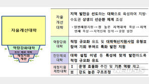 중위권 30개大 국고지원 패자부활전…296억 놓고 경쟁 가열