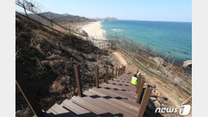 유엔사 “고성 DMZ 평화둘레길 민간인 통행 승인”…27일 개방