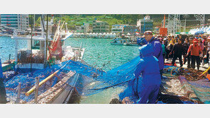 부산 기장멸치축제 25일부터 4일간 열려