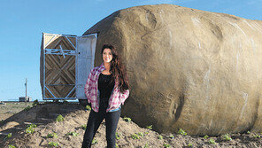 들판 위에 감자호텔… “있을건 다 있어요”