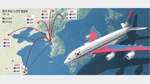 넓어지는 中 하늘길… 소비자들 함박웃음