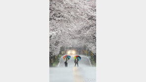 오전까지 비소식…수도권 일부 오후까지 계속