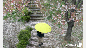 [날씨]25일 오후에 비오며 철이른 더위 꺾여…강원 산지 눈