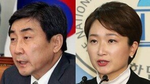 이종걸 “이언주 언행, 너무 저렴…국내정치불가 등급”
