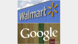 미 FAA, 구글 윙에 최초로 드론택배 정식허가