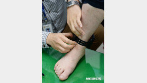 규정된 귀가시간 지키지 않은 60대 성범죄자 경찰에 붙잡혀