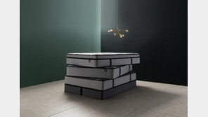 삼안리빙, ‘잉글랜더코리아’로 사명 변경