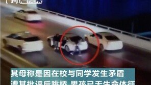 엄마가 보는 앞에서…고교생 아들은 다리 아래로 뛰어 내렸다