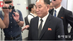 국정원 “김영철 北 통일전선부장 해임…장금철로 교체”