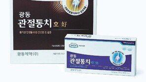 관절통증 완화… 강황 추출물-MSM 든 ‘관절통치’
