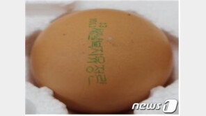 25일부터 세척·포장 안한 가정용 달걀 대형마트서 못판다