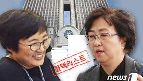 靑 윗선 조준 못하고 비서관서 끝난 ‘환경부 블랙리스트’