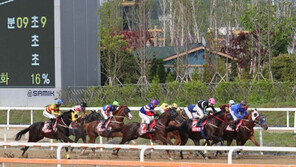 [경마 단신] 마사회, 5월 경마시행계획 발표 外