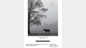 말과 휴식을 찾아서 “출사 나들이 갑시다”