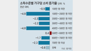 저소득층 - 고소득층 모두 지갑 닫았다