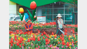 “꽃의 세계로 초대합니다” 26일 고양국제꽃박람회 개막