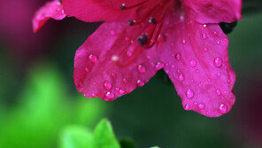 26일 오전까지 비소식…기온 떨어져 낮에도 ‘쌀쌀’