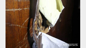 국회 사개특위, 여야 밤샘 육탄전…기습 개의했으나 실패 