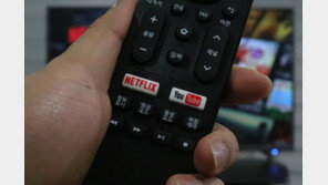 [IT강의실] 넷플릭스를 TV로 보는 방법 네가지