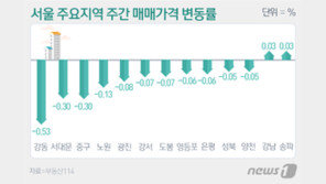 서울 아파트값 23주째 하락…일반아파트 하락폭 2배 확대