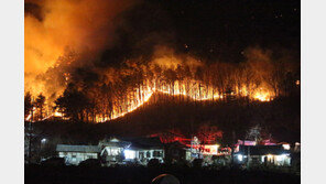 대형 산불은 짝수 해에 많이 발생한다? 올해 강원 산불은… 