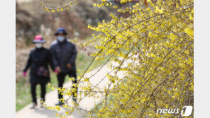 [날씨]27일 기온 뚝 최저 1~9도에 강풍 겹쳐 쌀쌀…늦서리에 얼음도