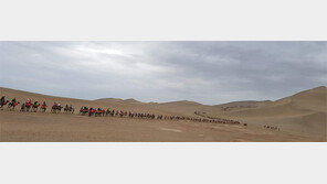 [책의 향기]“‘문명의 젖줄’ 실크로드 만든 힘은 돈과 종교”