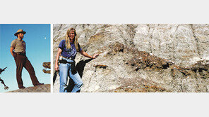 [책의 향기]세계 최대 공룡화석 ‘수’는 어떻게 박물관에 오게 됐나