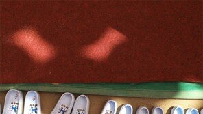 [고양이 눈]신발 속 햇살처럼