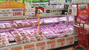 ‘100% 치사율’ 아프리카 돼지열병에 걸린 중국… “절반 사라질수도”