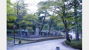 봄이면 너도 나도 걷고 싶은 국내 사찰길