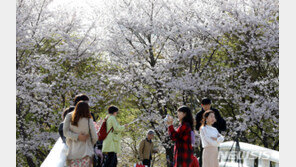 [날씨]다음주 낮 최고 26도 봄날…주말 미세먼지 주의