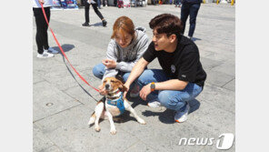 동물단체 “‘불법 동물실험 의혹’ 이병천 교수 파면하라”