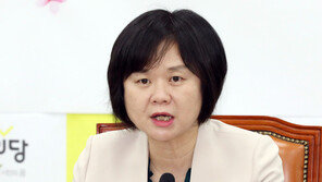 이정미 “판문점 선언 이전으로의 회귀 안돼…신발 끈 다시 매야”