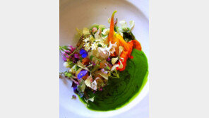 자연이 주는 최고의 선물…보는 것을 넘어 음식이 되고 약이 되는 ‘꽃’