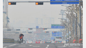 70년간 노력한 LA도 완전한 해결 못했는데…임기 내 대기오염 해결 고집 버려야