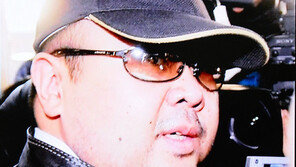 마지막 용의자도 석방…‘김정남 암살’ 이대로 미궁?