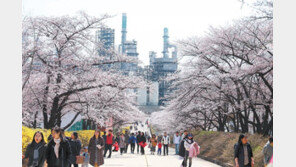 공장 내 벚꽃동산 개방, 35년째 ‘행복나눔 축제’ 
