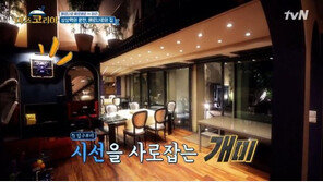 베르나르 집 공개…박나래 “소설 속에 들어온 느낌”