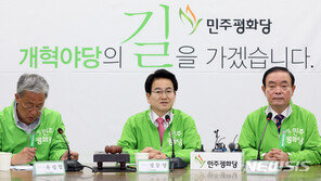 정동영 “국회는 한국당 놀이터 아냐…이성 되찾아야”