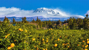  “부모님께 지금 제주의 추억을 선물하세요”